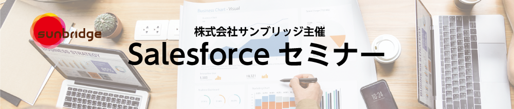 Salesforceを導入するならおさえておきたい！<br>担当者が知っておくべき落とし穴